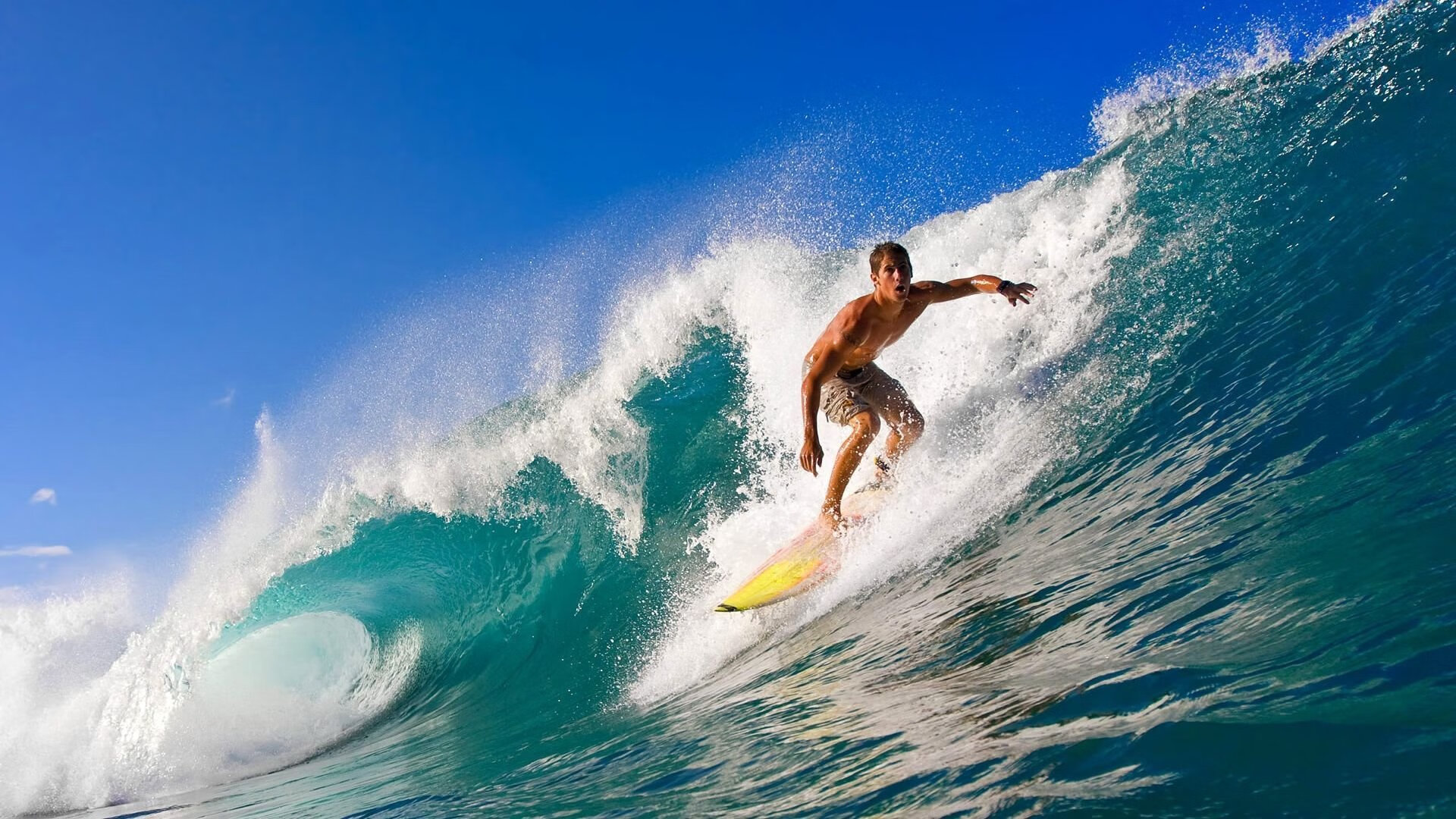 赛道上的双重奏，哈斯险胜威廉姆斯，诺里斯独舞摩纳哥